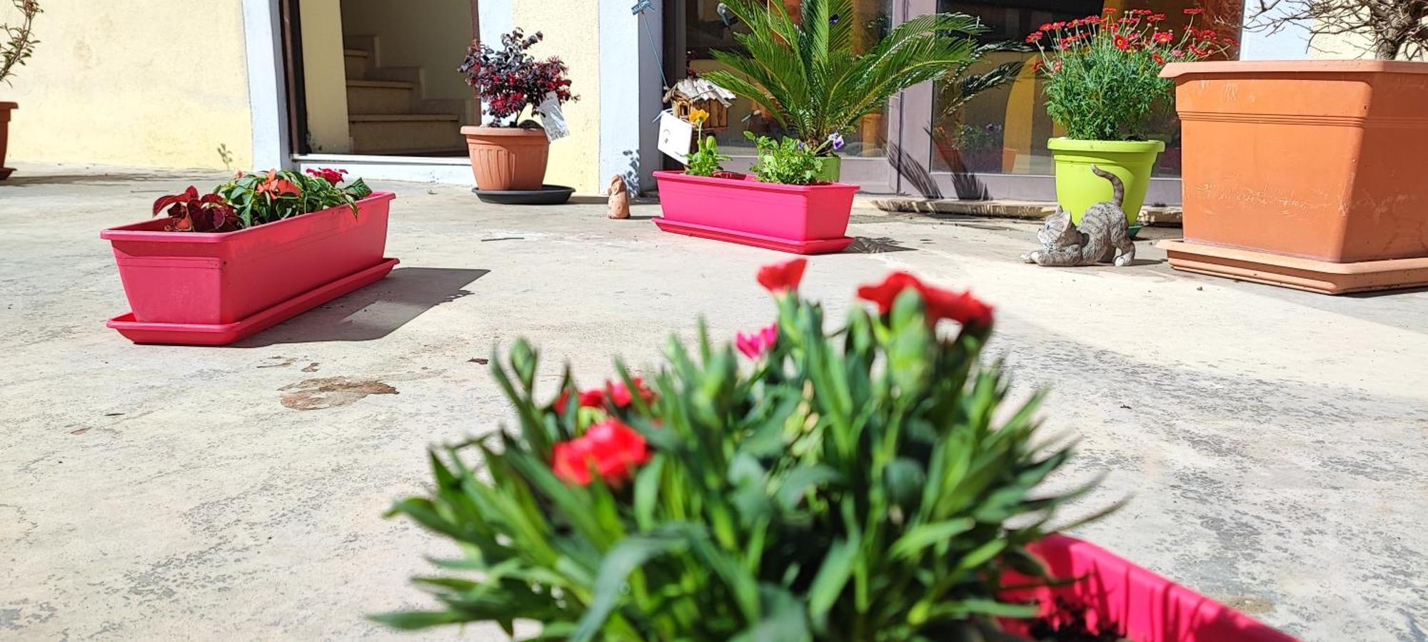 B&B Gioia Catanzaro Ngoại thất bức ảnh